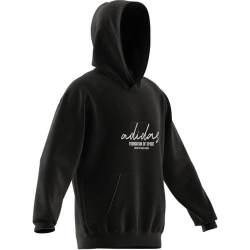 adidas BL FT HD Q3 Erkek  Sweatshirt  IW3533