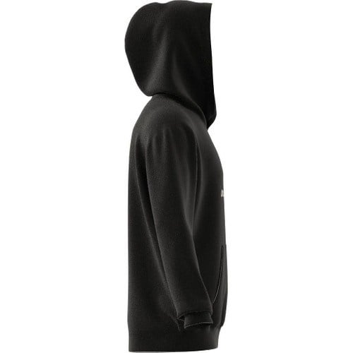 adidas BL FT HD Q3 Erkek  Sweatshirt  IW3533