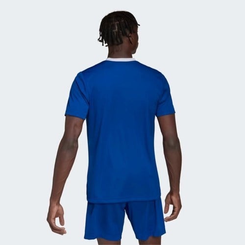 adidas Entrada 22 Jersey Erkek Forma