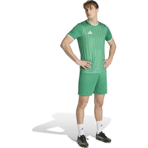 Adidas Erkek Futbol Forma ENT26 Gfx Jsy KB3970