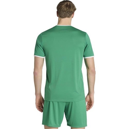 Adidas Erkek Futbol Forma ENT26 Gfx Jsy KB3970