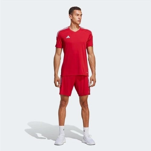 adidas Erkek Şort IB8082