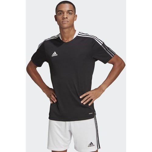 adidas ERKEK T-SHIRT GM7586