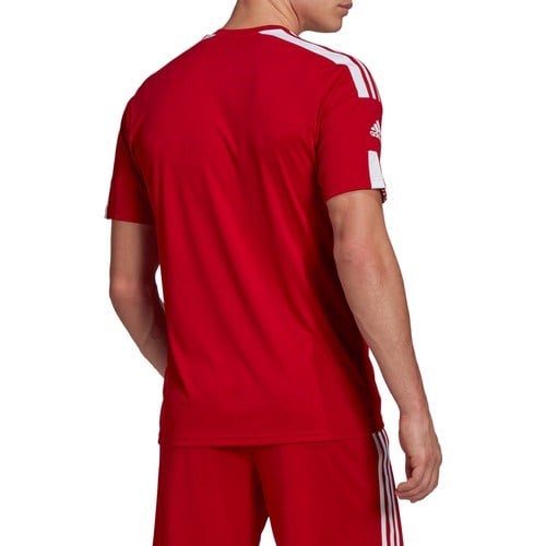 adidas Erkek T-Shirt GN5722