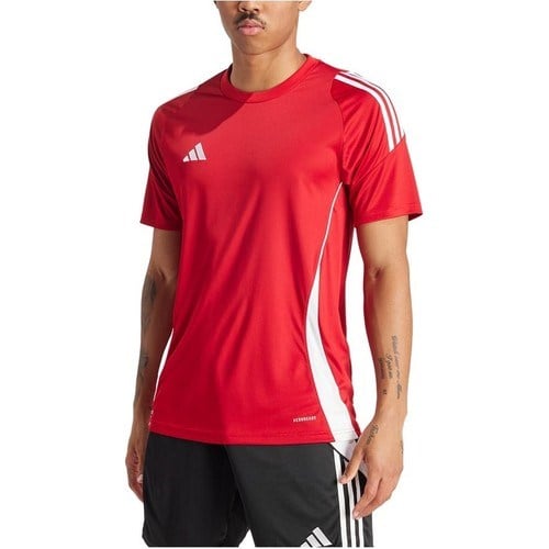 adidas Erkek  TIRO24 JSY IS1016