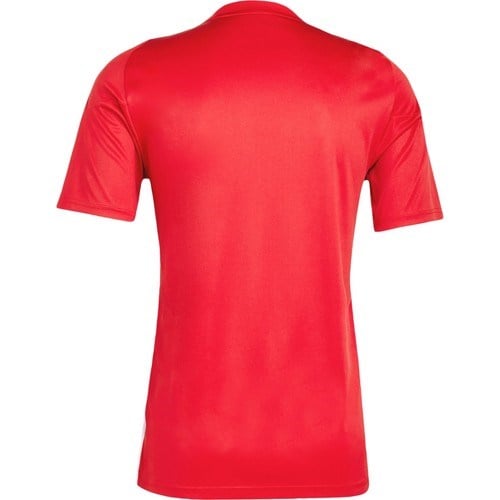 adidas Erkek  TIRO24 JSY IS1016