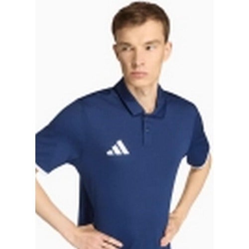 Adidas JZ6663 ENT26 Erkek Polo Tişört