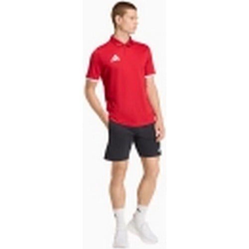 Adidas JZ6664 ENT26 Erkek Polo Tişört