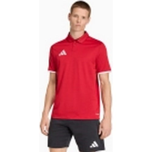 Adidas JZ6664 ENT26 Erkek Polo Tişört