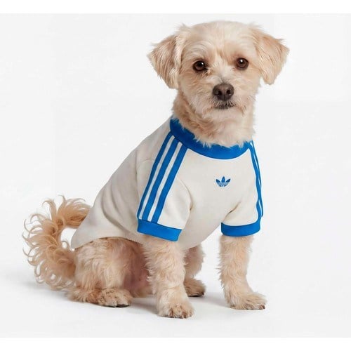 Adidas Originals Beyaz Pet Cali Tişört (KY8732)