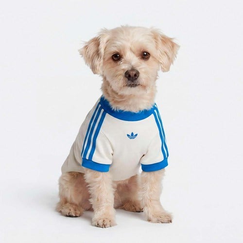 Adidas Originals Beyaz Pet Cali Tişört (KY8732)