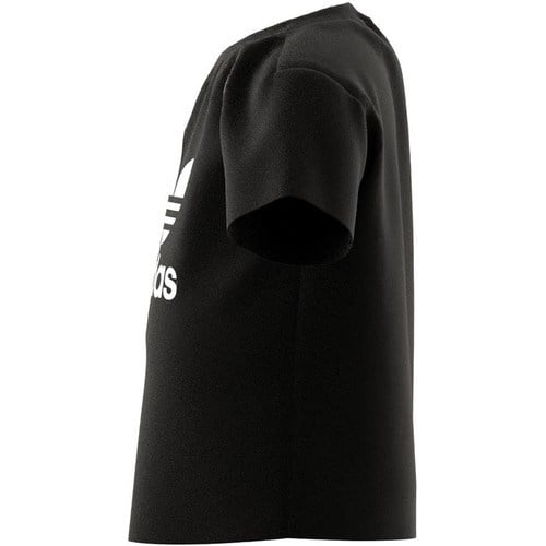 Adidas Originals DV2829 Trefoil Tee