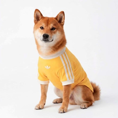 Adidas Originals Sarı Pet Cali Tişört (KY8731)