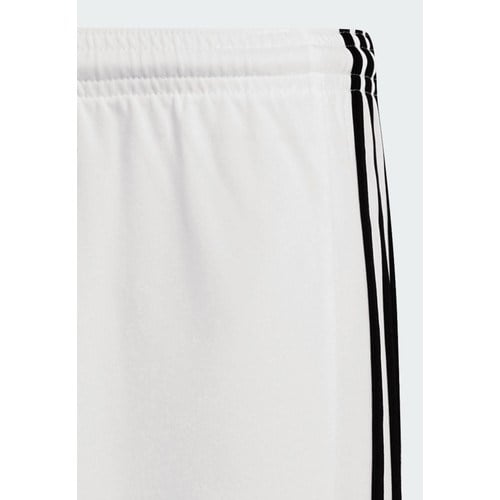 Adidas Performance GN5773 Squadra 21 Shorts
