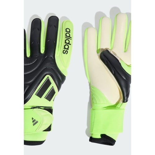 Adidas Performance JN5334 Copa Pro Goalkeeper Gloves
