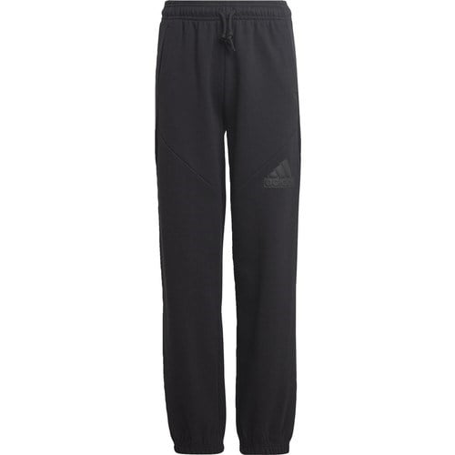 Adidas Sportswear HR6286 Future Icons Logo Pants