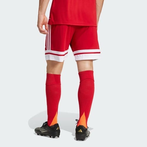 adidas SQUA25 SHO M Kırmızı Erkek Şort