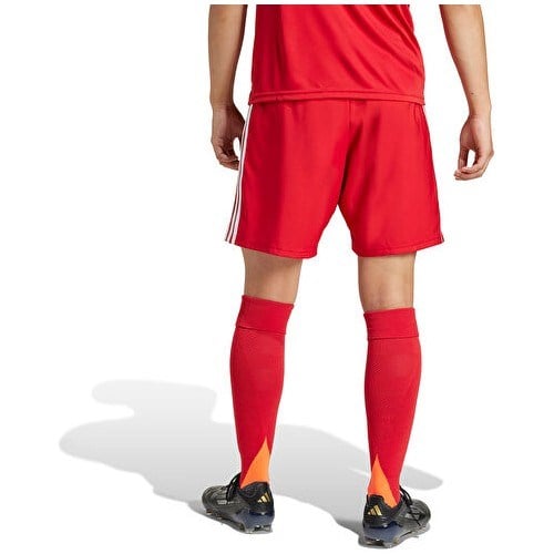 Adidas TASTIGO25 Sho M Erkek Futbol Antrenman Şortu JN7157 Renkli