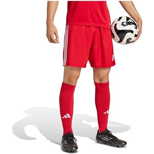 Adidas TASTIGO25 Sho M Erkek Futbol Antrenman Şortu JN7157 Renkli