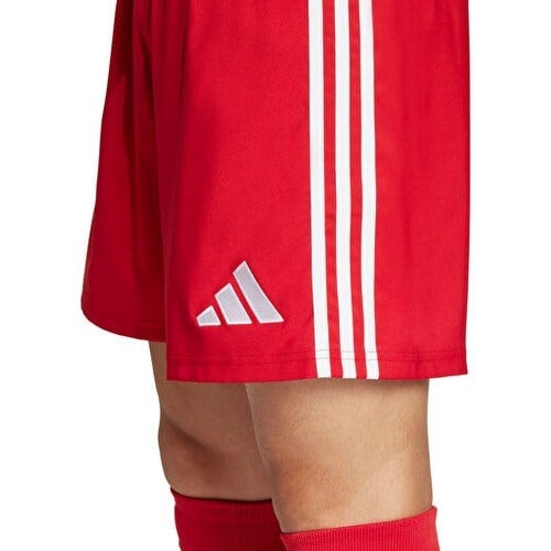 Adidas TASTIGO25 Sho M Erkek Futbol Antrenman Şortu JN7157 Renkli