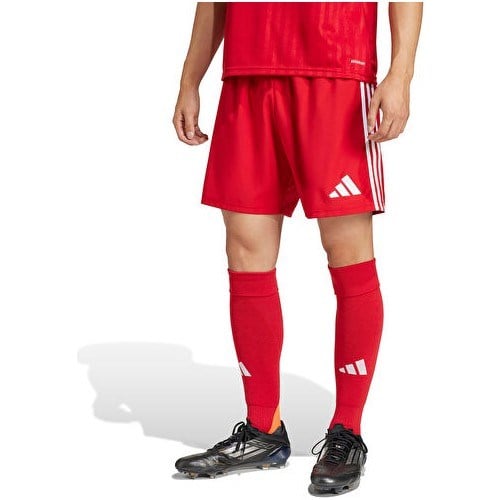 Adidas TASTIGO25 Sho M Erkek Futbol Antrenman Şortu JN7157 Renkli