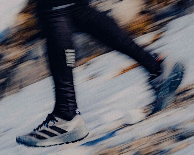 ADIDAS TERREX AGRAVIC GTX 2 Erkek Arazi Tipi Koşu Ayakkabısı HQ5090 Gri
