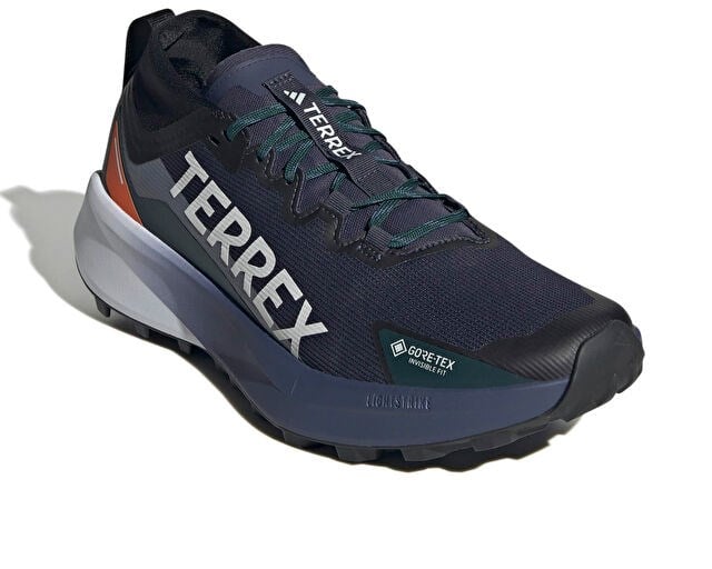 ADIDAS TERREX AGRAVIC GTX Erkek Arazi Tipi Koşu Ayakkabısı JR7784 Lacivert