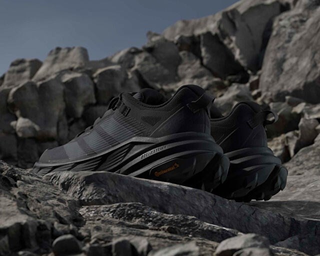 ADIDAS TERREX FREEHIKER SL GTX Erkek Outdoor Ayakkabısı KJ4430 Siyah