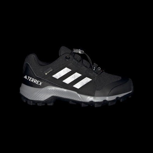 Adidas TERREX IH5511 Terrex GORE-TEX Hiking Shoes