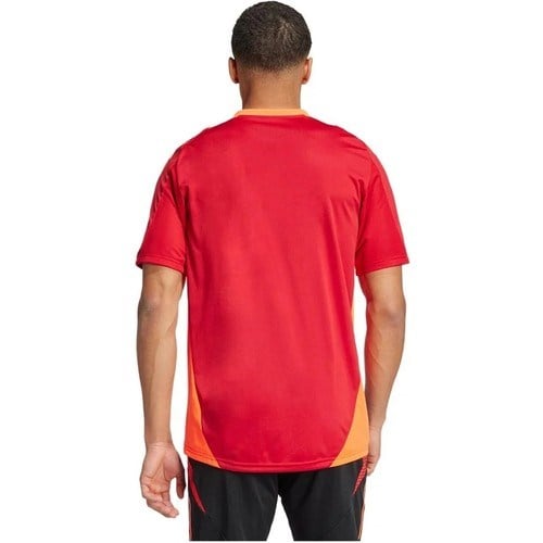 adidas  TIRO24 C TR JSY Erkek T-shirt IS1658