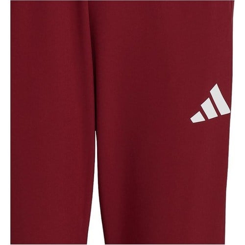 adidas TURKIYE P PNT M Erkek   Eşofman Altı JH0784