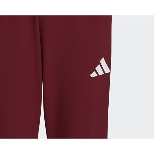 adidas TURKIYE P PNT M Erkek   Eşofman Altı JH0784