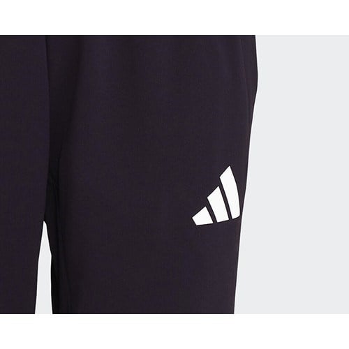 adidas TURKIYE PNT W Kadın   Eşofman Altı JG5705