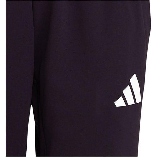 adidas TURKIYE PNT W Kadın   Eşofman Altı JG5705