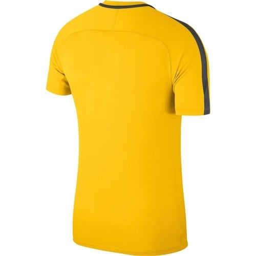 Nike Academy Erkek Spor T-Shirt 893693-719