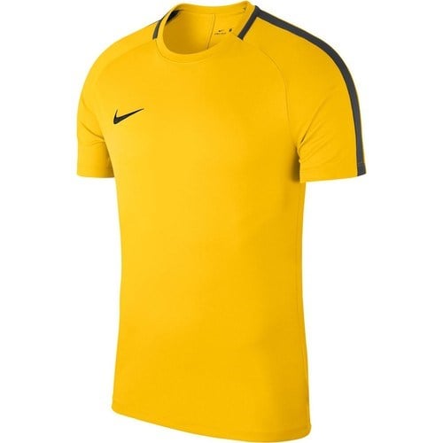 Nike Academy Erkek Spor T-Shirt 893693-719