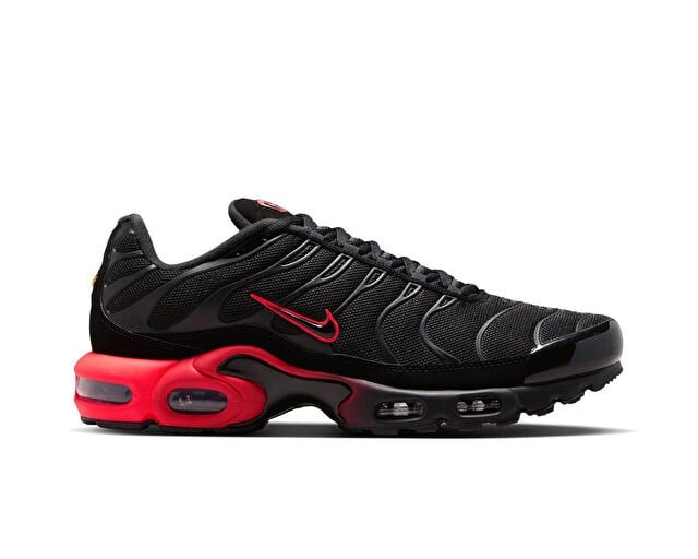NIKE AIR MAX PLUS Erkek Günlük Ayakkabı IX0385-001 Siyah