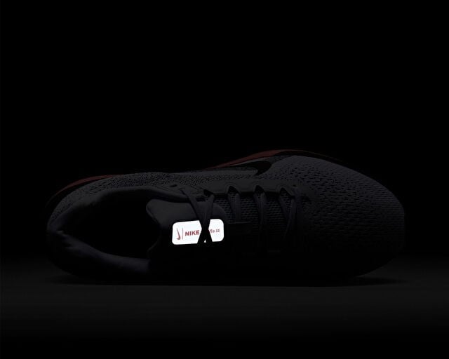 NIKE AIR WINFLO 11 Erkek Koşu Ayakkabısı FJ9509-008 Siyah