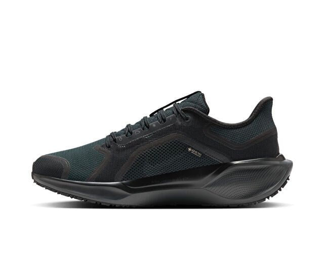 NIKE AIR ZM PEGASUS 41 GTX Erkek Koşu Ayakkabısı FQ1356-001 Çok Renkli
