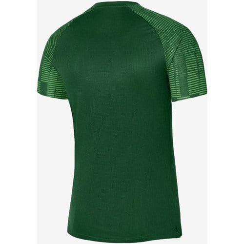 Nike Dri-Fit Academy DH8031-302 Yeşil Erkek Tişört