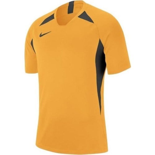 Nike Dri-Fıt Striker Legend V AJ0998-739 Erkek Tişört