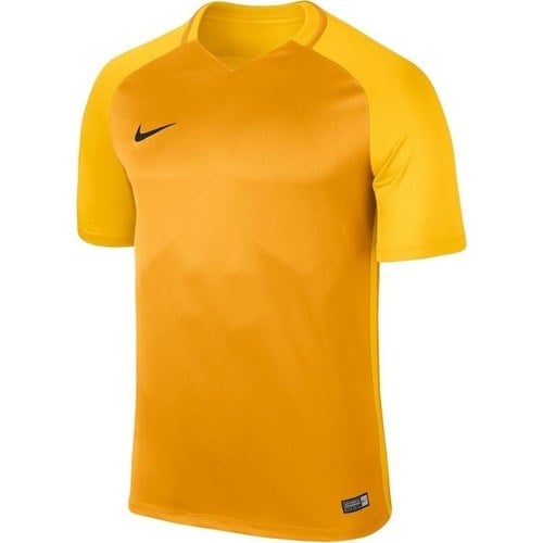 Nike Dry Trophy Iıı Jsy 881483-739 Kısa Kol Forma
