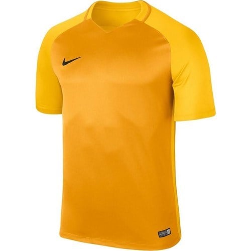 Nike Dry Trophy Iıı Jsy 881483-739 Kısa Kol Forma