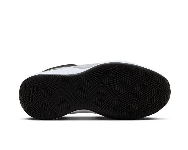 NIKE GIANNIS FREAK 6 Genç Basketbol Ayakkabısı FQ7378-003 Siyah