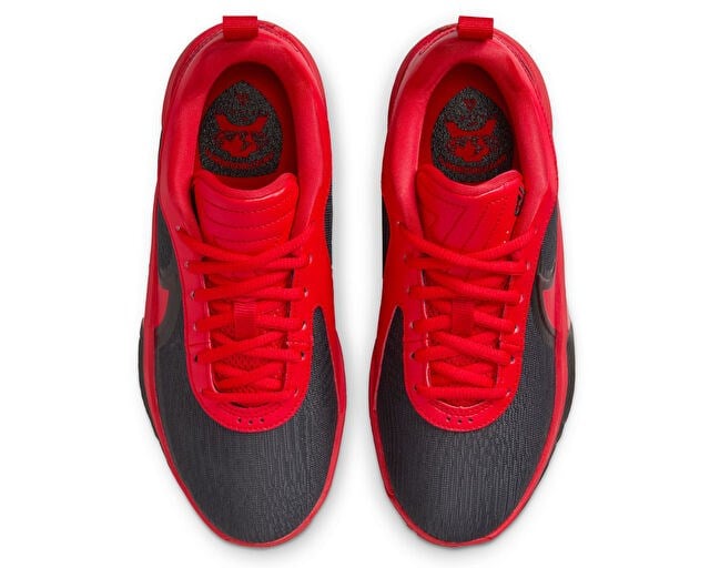 NIKE GIANNIS FREAK 6 Genç Basketbol Ayakkabısı FQ7378-004 rnkyk