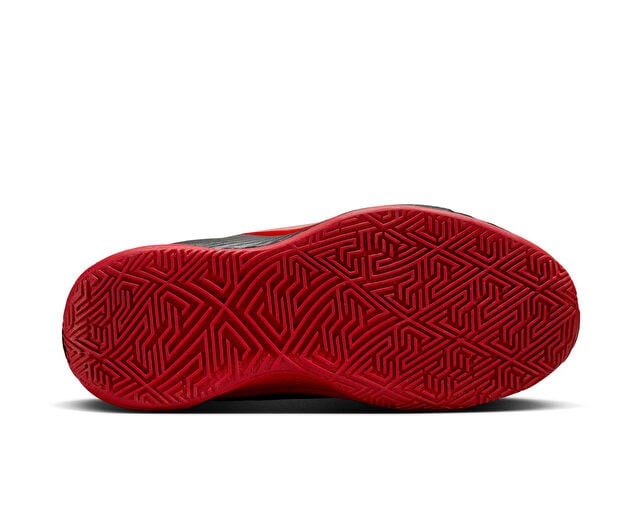 NIKE GIANNIS FREAK 6 Genç Basketbol Ayakkabısı FQ7378-004 rnkyk