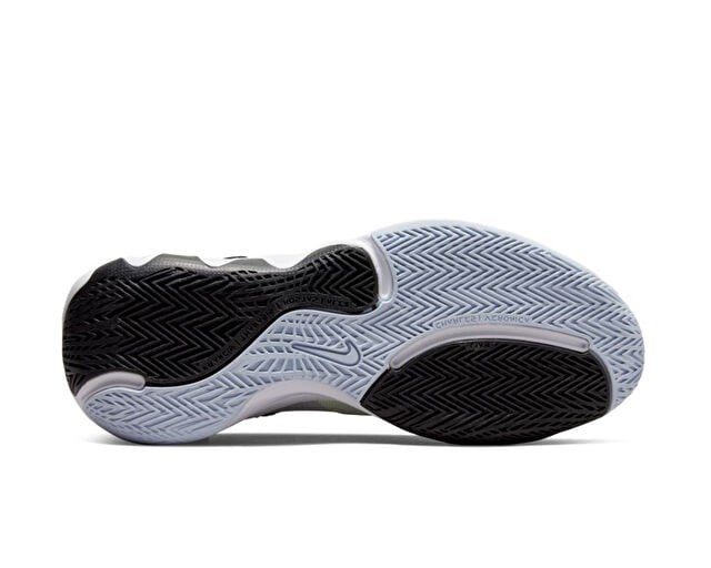 NIKE GIANNIS IMMORTALITY 2 Unisex Basketbol Ayakkabısı DM0825-101 Beyaz