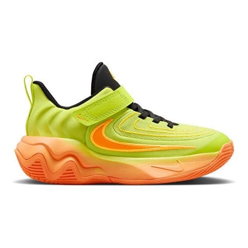 Nike Gıannıs Immortalıty 4 (Ps) Çocuk Basketbol Ayakkabısı FZ6733-301 Renkli