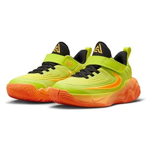 Nike Gıannıs Immortalıty 4 (Ps) Çocuk Basketbol Ayakkabısı FZ6733-301 Renkli