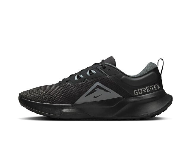 NIKE JUNIPER TRAIL 2 GTX V2 Erkek Arazi Tipi Koşu Ayakkabısı HM9734-001 Siyah